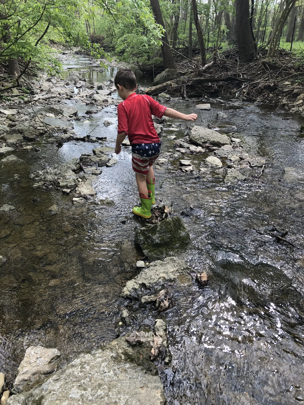 Sam’s son stepping across rocks while exploring Sharon Creek