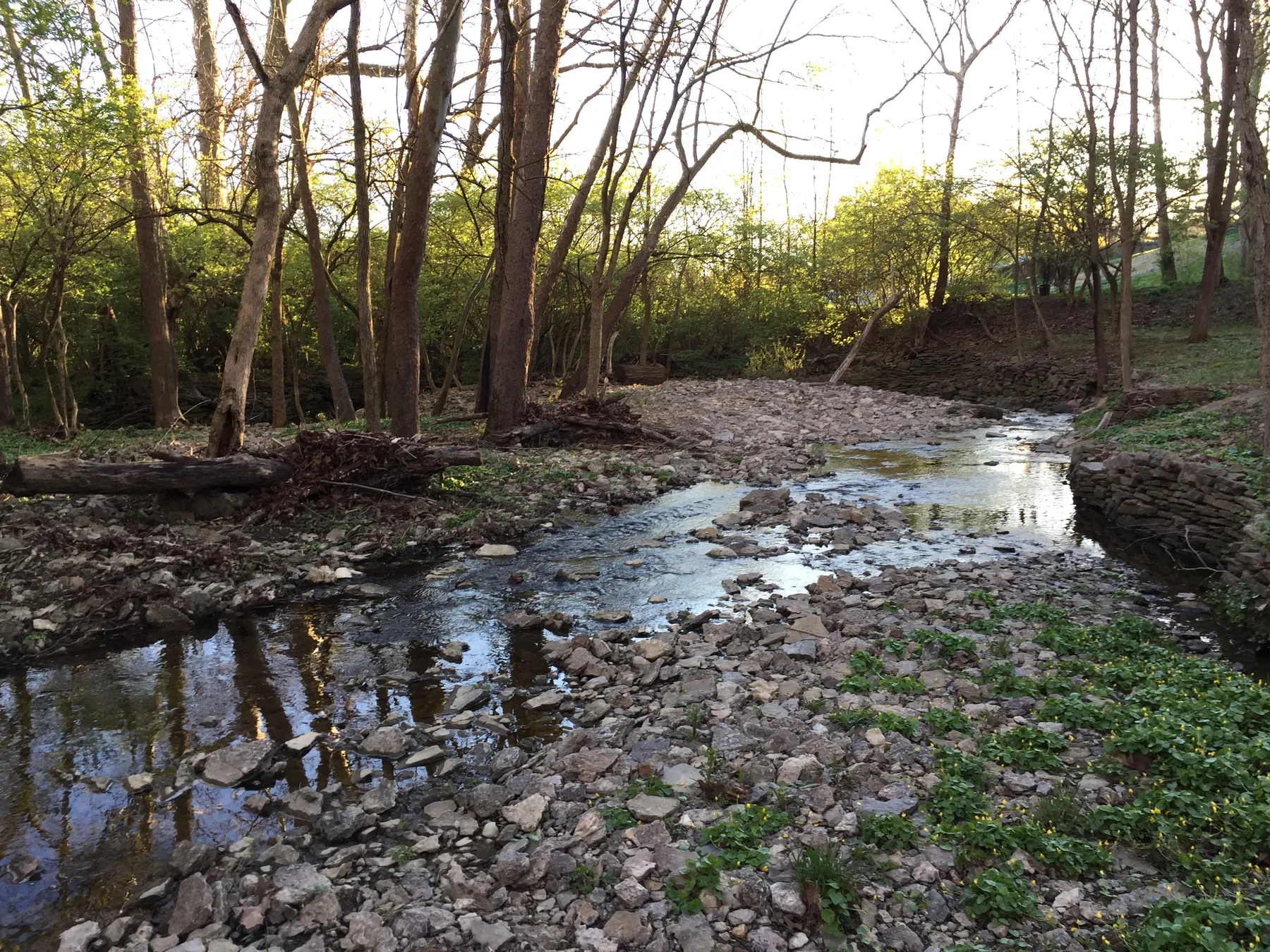 Sunlight reflecting through trees onto the rocky water of Sharon Creek