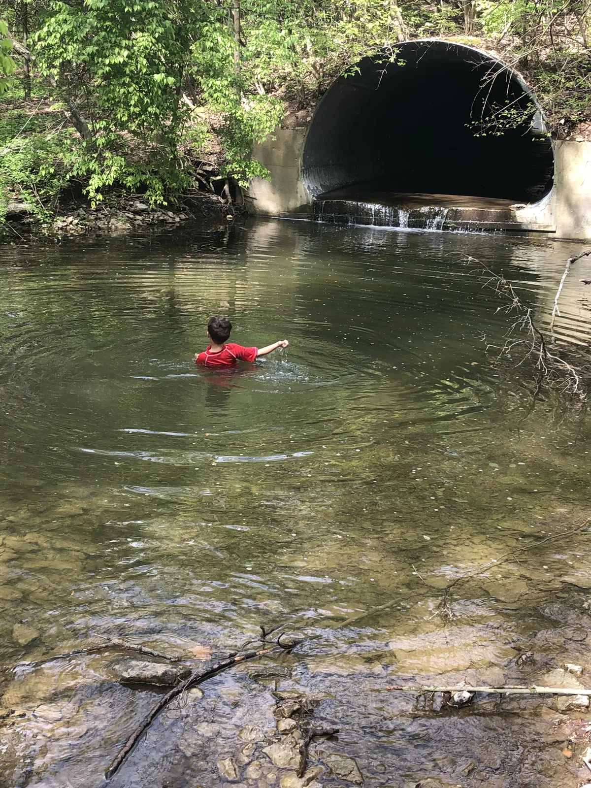 Sam’s son swimming in a quiet pool along Sharon Creek